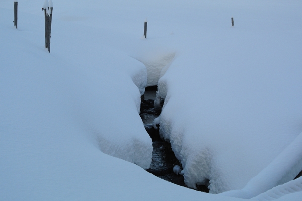 Winterzauber in Preda