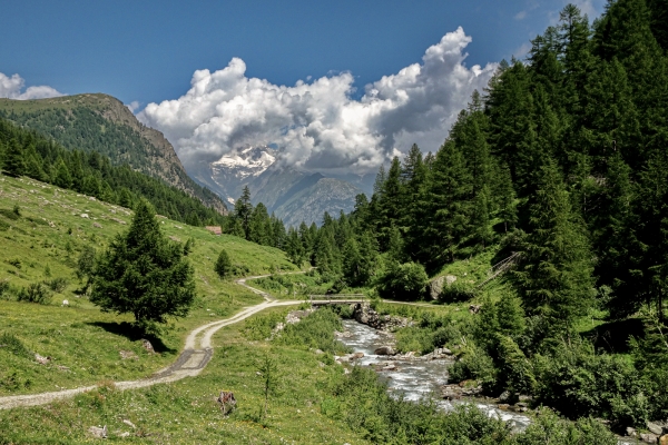 Unterwegs in der wilden Natur des Oberwallis