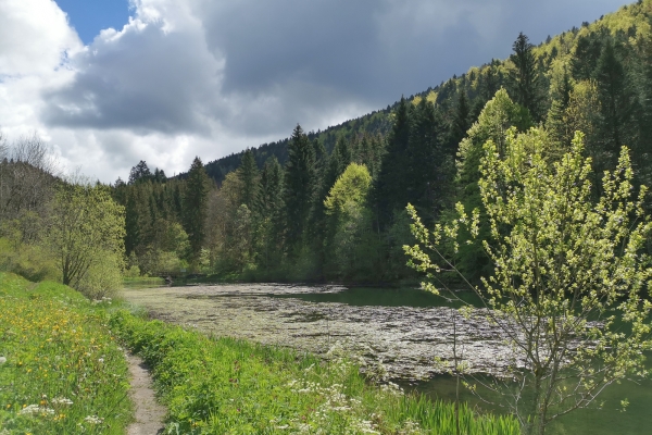 Gorge sauvage dans les Franches-Montagnes