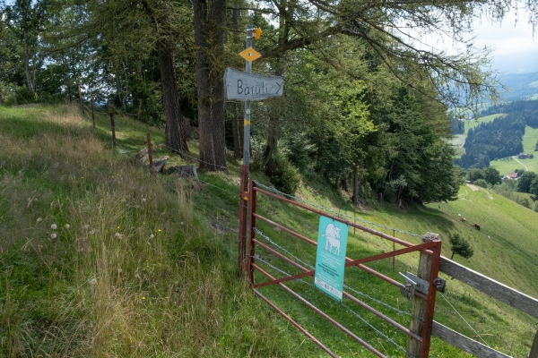 Zu Aussichtskanzel und Hof Bärüti