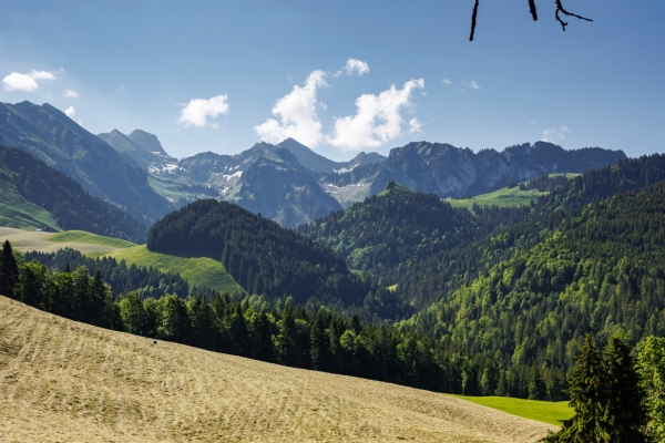 In typischer Greyerzer Landschaft