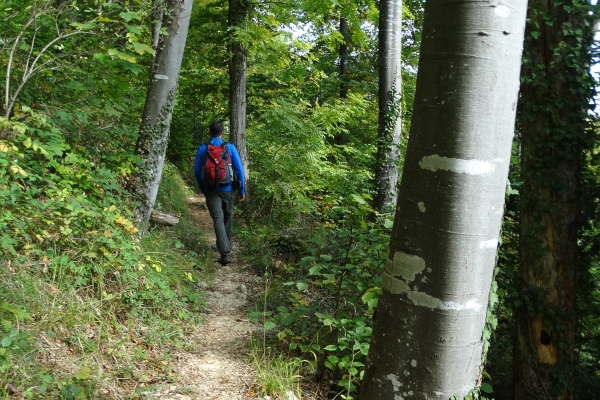 Zum höchsten Punkt in Delémont