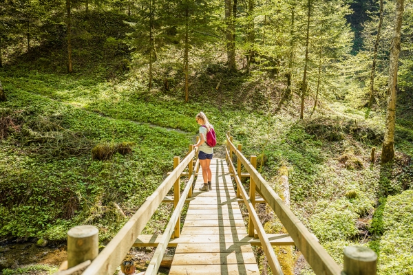 Feld, Wald und Wiese im Entlebuch