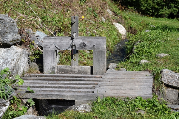 Auf schattigen Pfaden rund um Grimentz