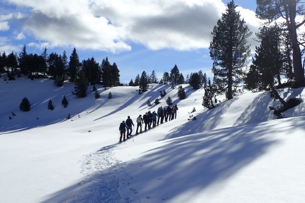 Schneeschuhwanderung zum Kinzigpass