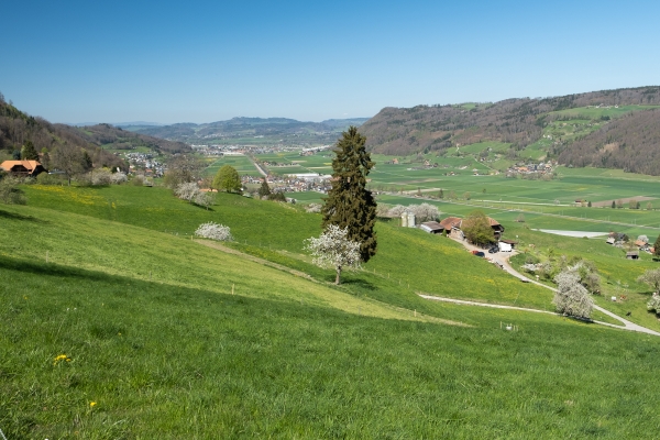 Sur le chemin panoramique du Gürbetal