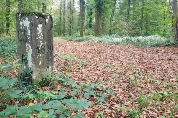 Grenzweg von Ramsen nach Diessenhofen