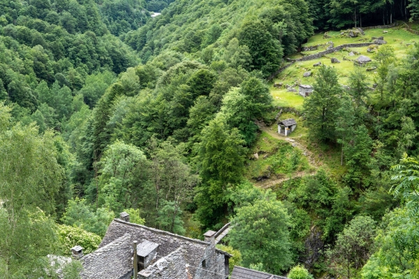 Sur des chemins isolés dans la verte Valle di Vergeletto