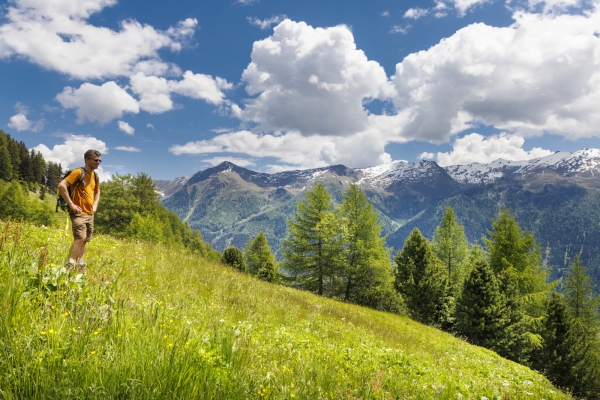 Blütenpracht hoch über dem Val Müstair