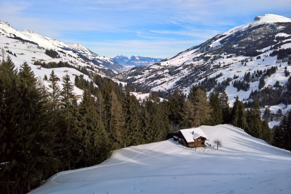 Panoramaweg am Adelbodner Sonnenhang