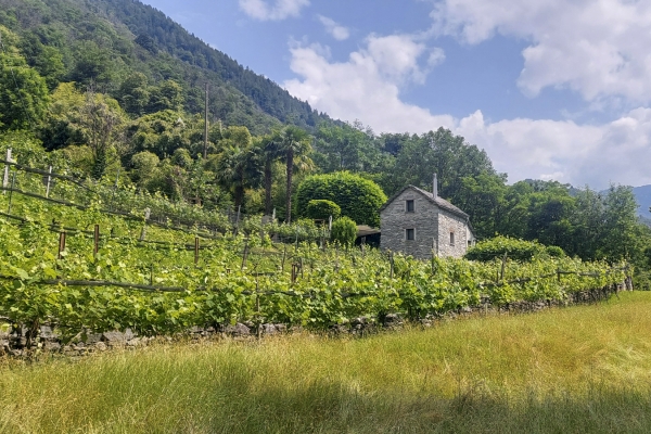 Naturerlebnis im Centovalli