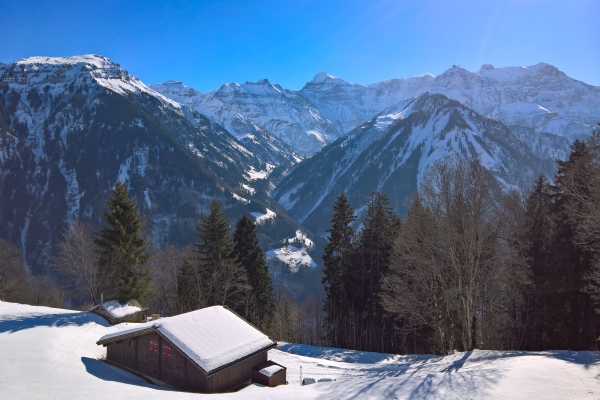 Höhenweg in Braunwald