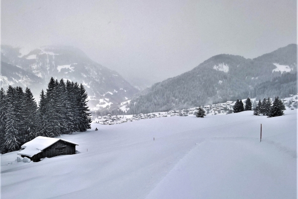 Höhenwege in der Surselva