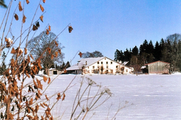 Die Freiberge im Winter erleben