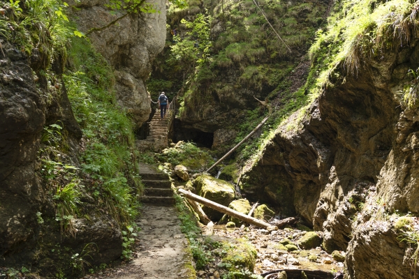 Les fées vertes du val de Travers