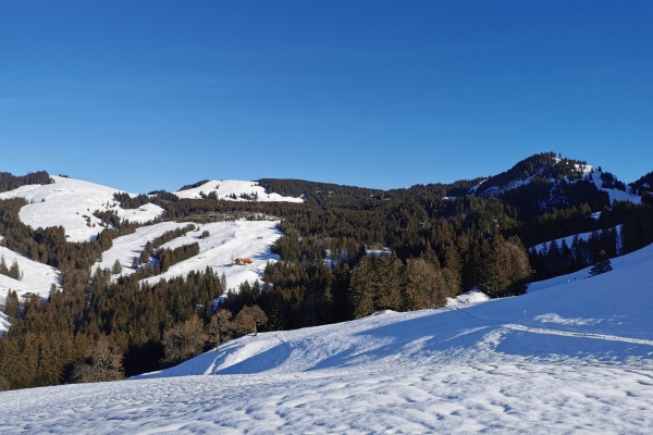 Boucle en raquettes à travers la Gruyère