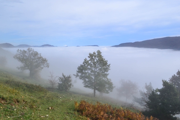 Durch die Wolfsschlucht im Naturpark Thal