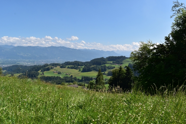 Par les collines du Vorderland appenzellois