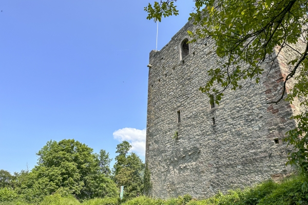 De château en château aux portes de Bâle