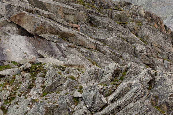 Hoch hinaus zur Gelmerhütte