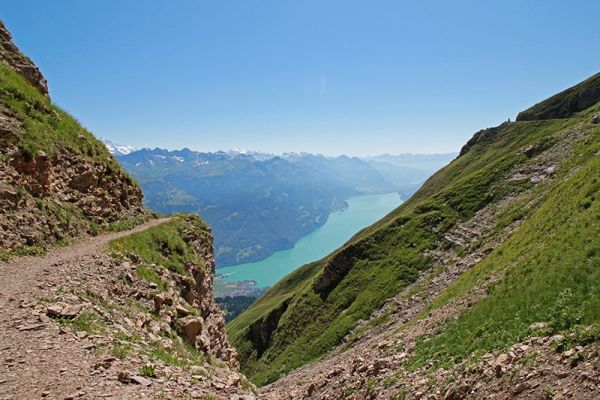 Dem Brünig entgegen 2