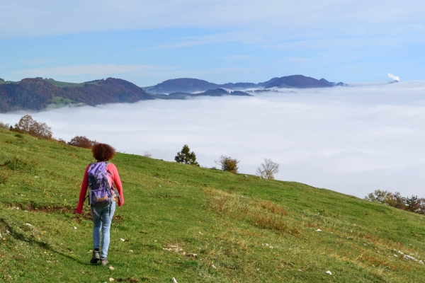 La Wolfsschlucht et le parc naturel de Thal