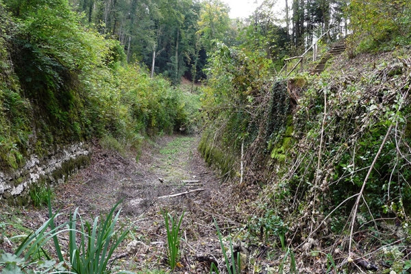 Schiffskanal im Märchenwald