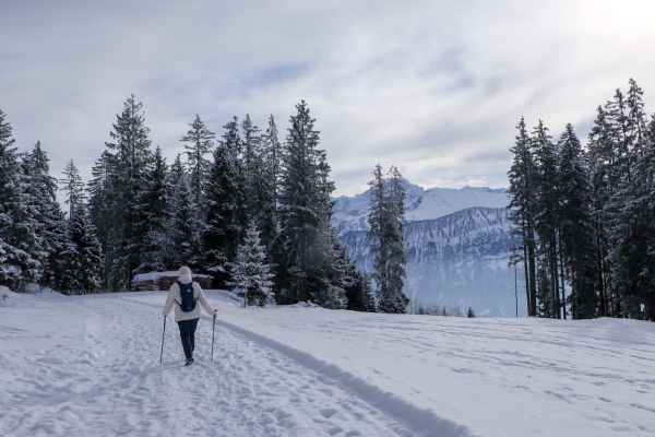 Beatenberg und die verschneiten Berner Alpen