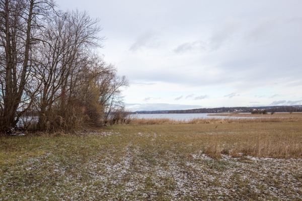 Winterlicher Gang dem Greifensee entlang