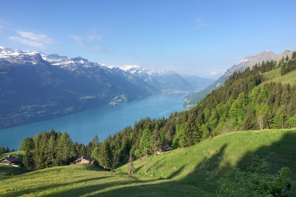 Hoch über dem Brienzersee