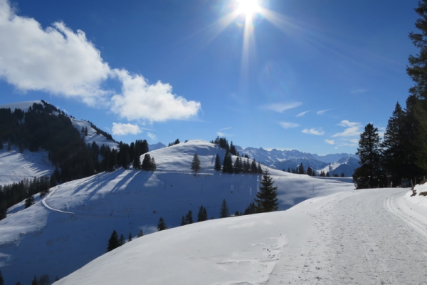 Hoch über dem Vierwaldstättersee