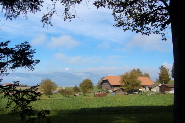 Randonnée au château de Kyburg-Buchegg