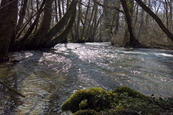 Von Chavannes-de-Bogis nach Versoix