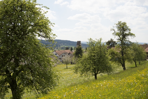 Von Weinfelden nach Frauenfeld