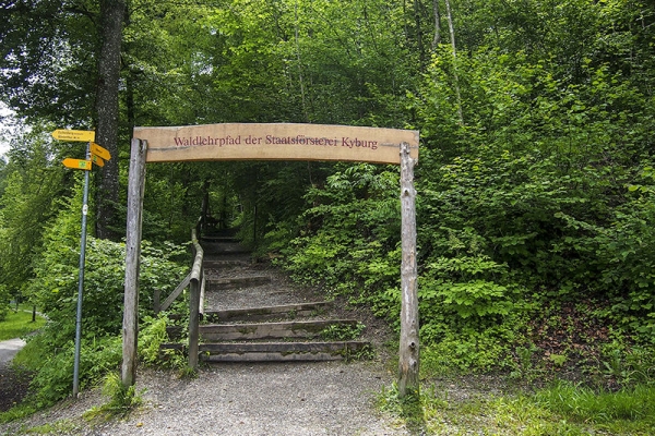 De la ville au château à travers la forêt