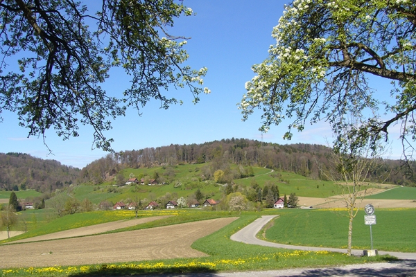 Waldreiche Pfade bei Winterthur