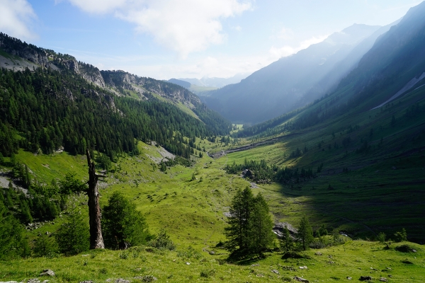 Zur Wildhornhütte und über das Iffighorn