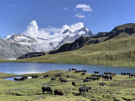 Lac de Moiry - Lac des Autannes