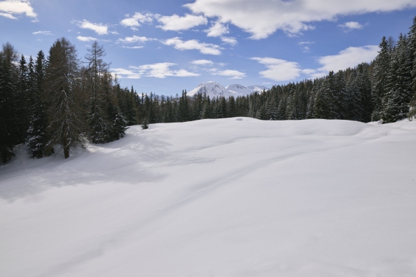 Die Stille am äusseren Heinzenberg