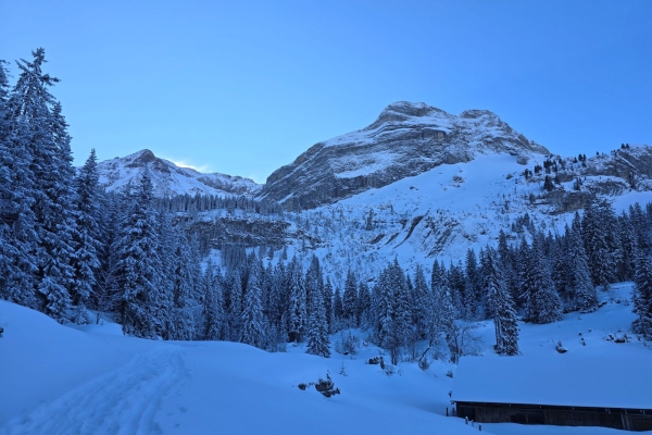 Vollmond-Schneeschuhwanderung Trübsee