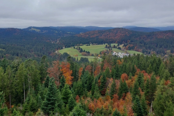 Schwarzwald: St. Blasien