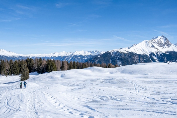 Schneeschuhtrail oberhalb von Salouf