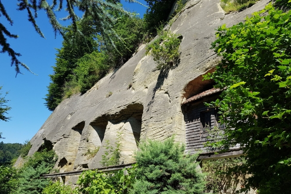 6. Natur, Kultur und Baukunst      rund um Freiburg im Üechtland