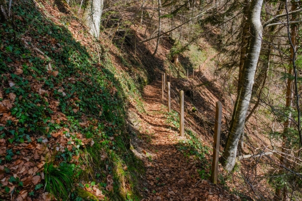 Einheimische Baukultur im Niedersimmental