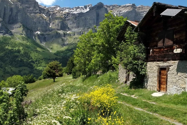 R64: Jeizinen - Bachalp - Torrentalp - Leukerbad