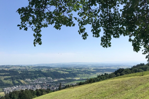 Randonnée familiale dans un paysage de drumlins