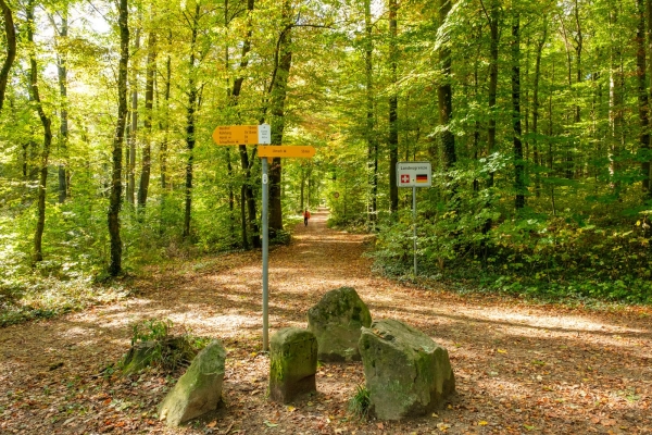 Historische Wanderung zur Eisernen Hand am Basler Rheinknie