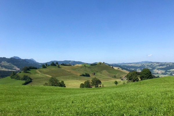 Randonnée familiale dans un paysage de drumlins