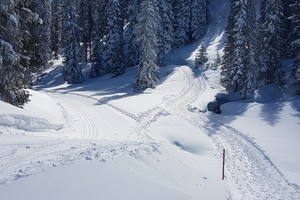 2. Winterwanderung St. Antönien-Pany