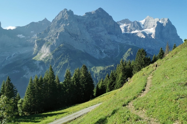 Nachmittagsrunde an der Alp Grindel